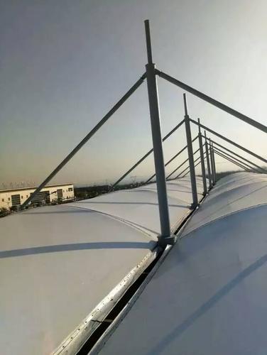 伞形张拉膜棚定做 公园膜结构伞篷定制 休闲景观膜伞设计